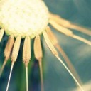 ¿Es posible obtener un certificado ISO 26000?