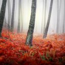 Beneficios de la Responsabilidad Social Corporativa